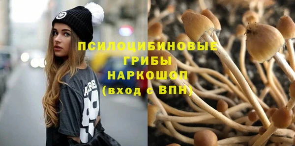 крисы Верхнеуральск