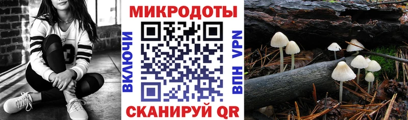 Купить закладки  Ветлуга  Галлюциногенные грибы мухоморы 